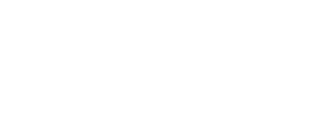 The Solo Project Logo